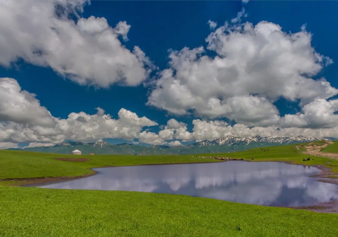 活动 | 首发新线：托乎拉苏—赛里木湖，漫步新疆最美“城市草原”qw7.jpg