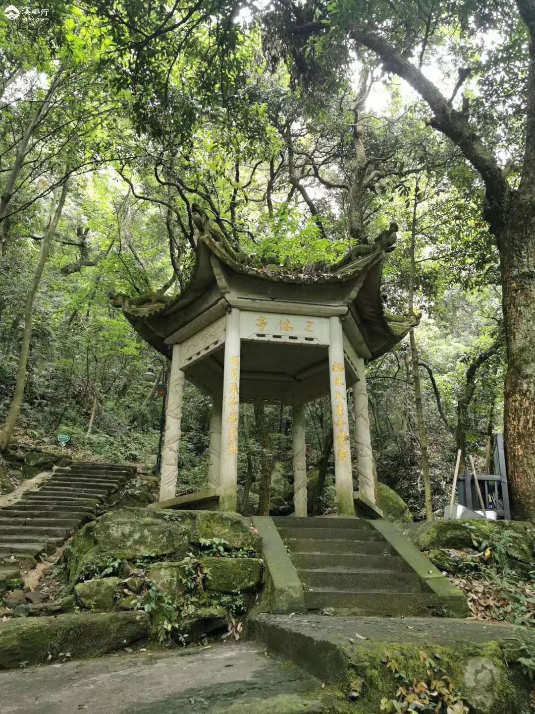 临安玲珑山风景区图片