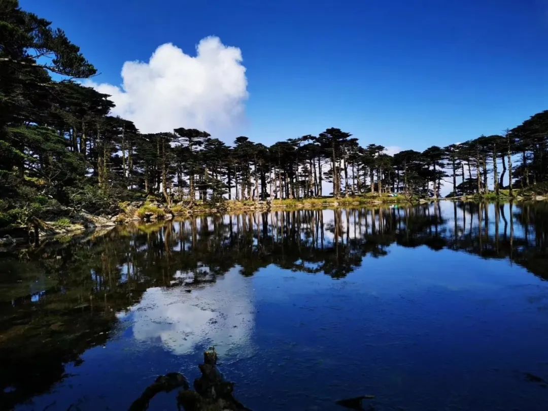 樂程戶外端午活動大理蒼山十九峰蘭峰尋花之旅313