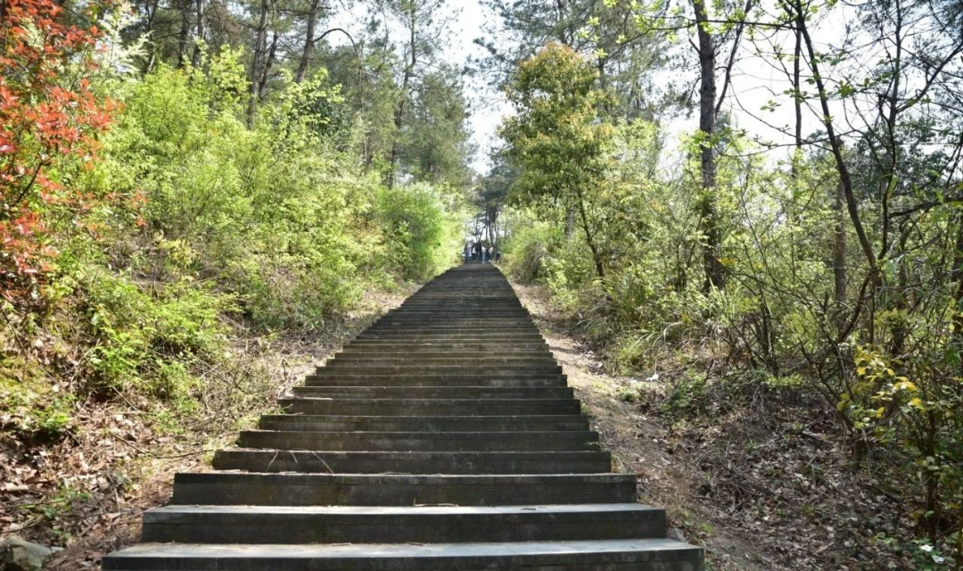 城山古道图片