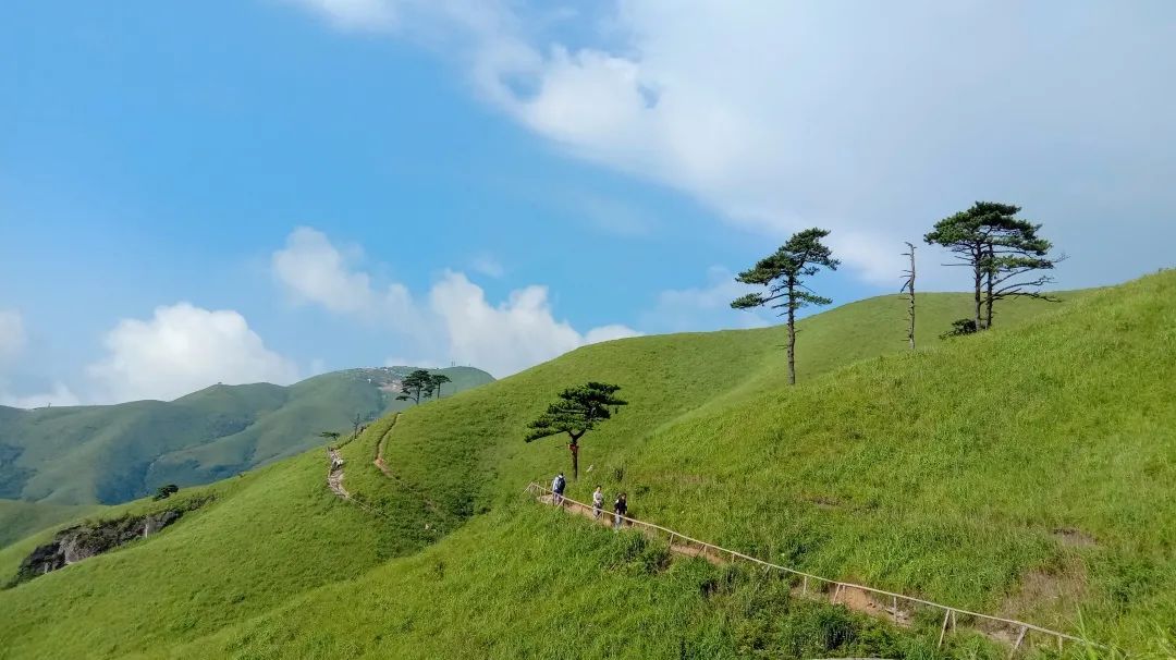 徒箇中國江西武功山羊獅慕輕裝徒步華東朝聖之路