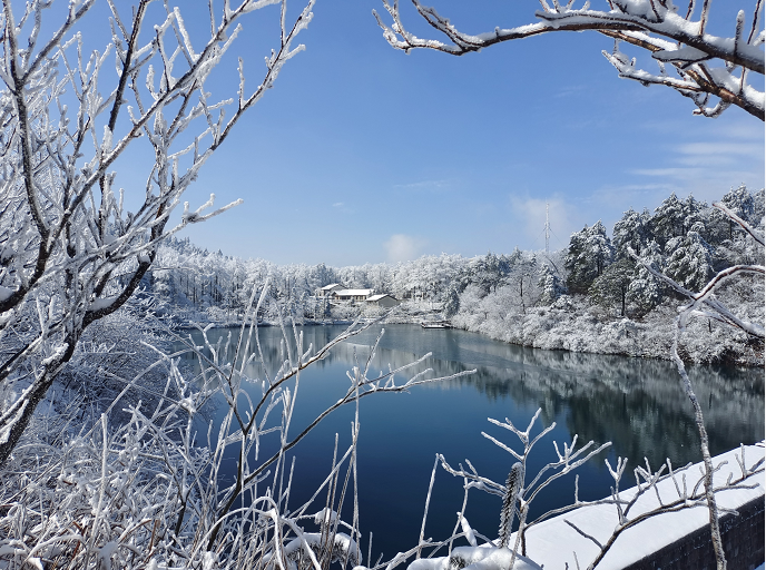 寧波市四明山雪景霧凇108元成團2月202122日3期徒步四明山森林公